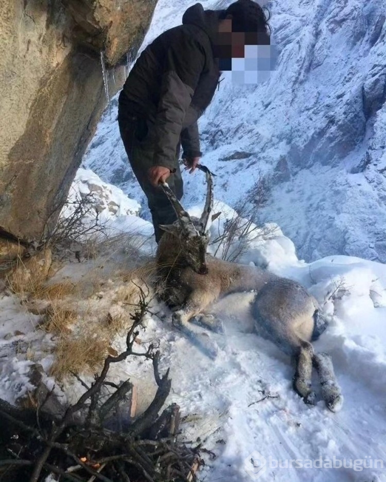 Kaçak avcılara 5 milyon TL para cezası
