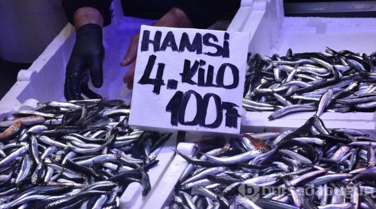 Trabzon'da hamsinin kilogramı 25 liraya kadar düştü
