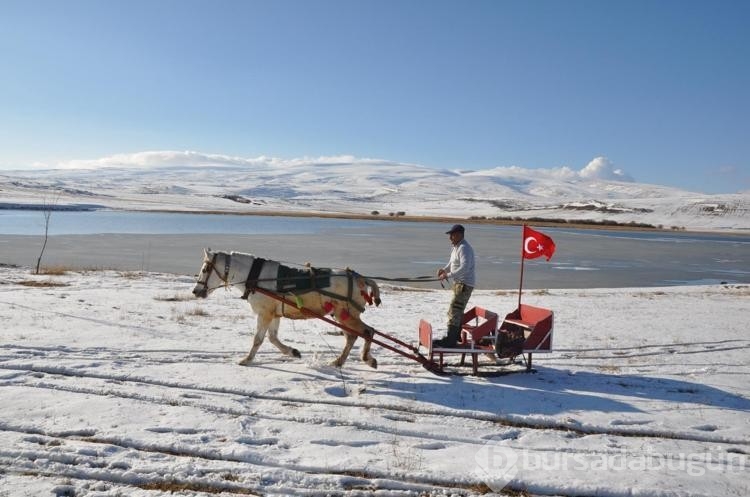 Kısmen donan Çıldır Gölü'nün ilk ziyaretçileri İstanbul'dan
