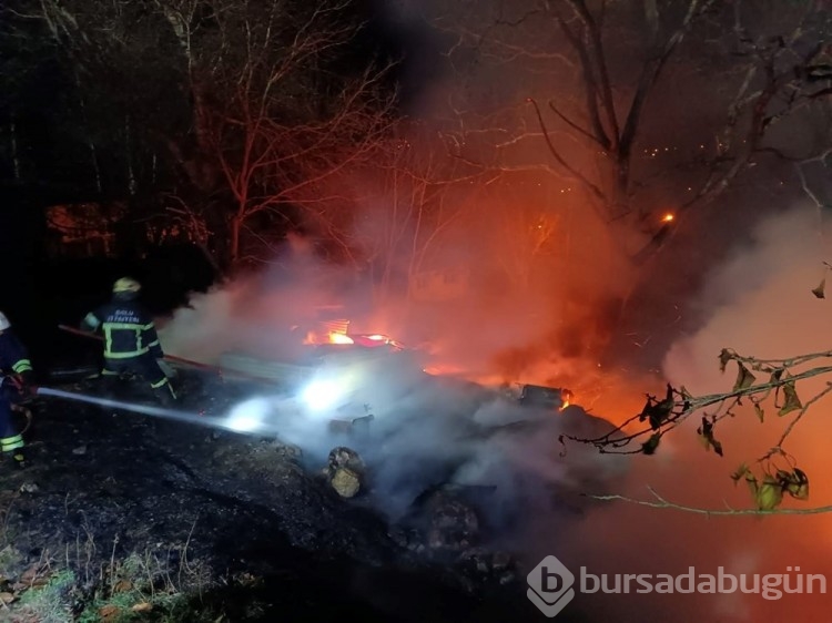 Bolu'da bir köy diken üstünde: 21 günde 5 yangın çıktı, sebebi araştırılıyor
