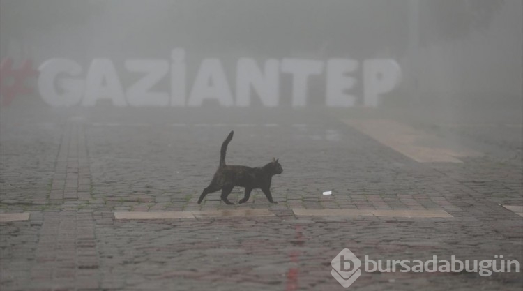 Gaziantep'te sis etkili oluyor
