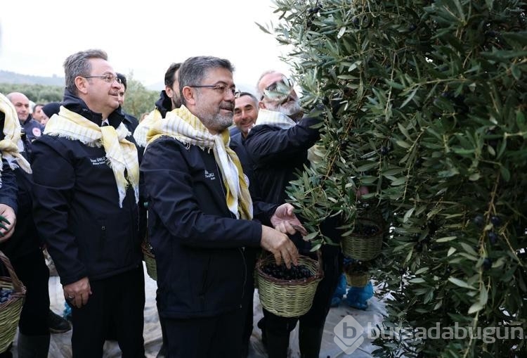 Bakan Yumaklı: Milletimiz zeytin üzerinden yapılan spekülasyonlara itibar etmesin
