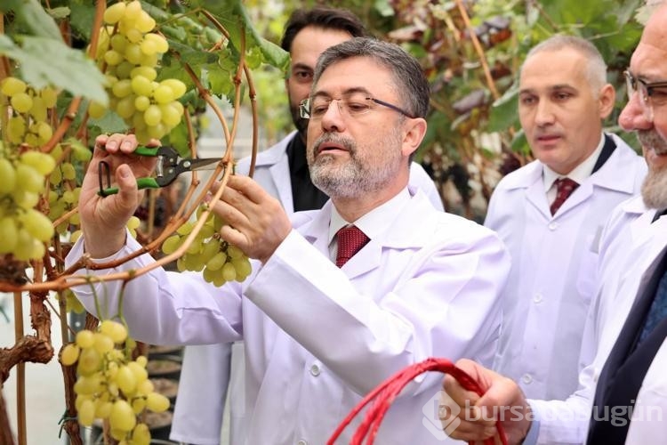 Bakan Yumaklı: Milletimiz zeytin üzerinden yapılan spekülasyonlara itibar etmesin
