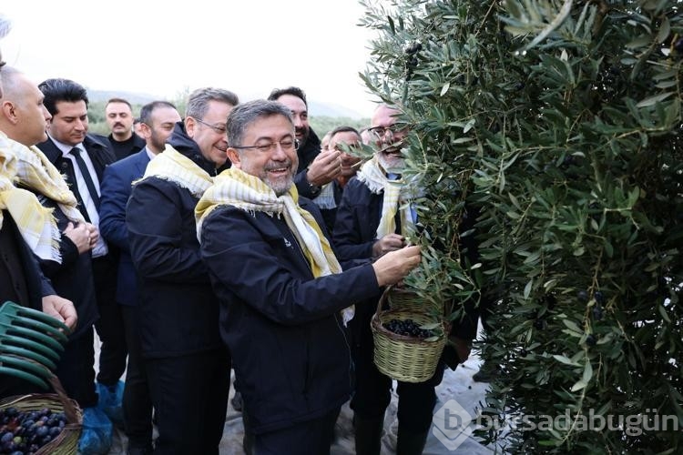 Bakan Yumaklı: Milletimiz zeytin üzerinden yapılan spekülasyonlara itibar etmesin
