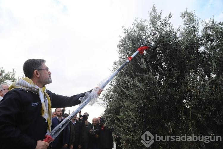 Bakan Yumaklı: Milletimiz zeytin üzerinden yapılan spekülasyonlara itibar etmesin
