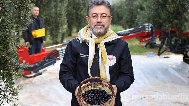 Bakan Yumaklı: Milletimiz zeytin üzerinden yapılan spekülasyonlara itibar etmesin
