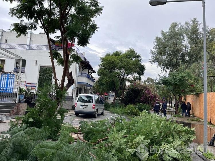 Bodrum'da sağanak; dere taştı, mahsur kalan 4 kişi kurtarıldı
