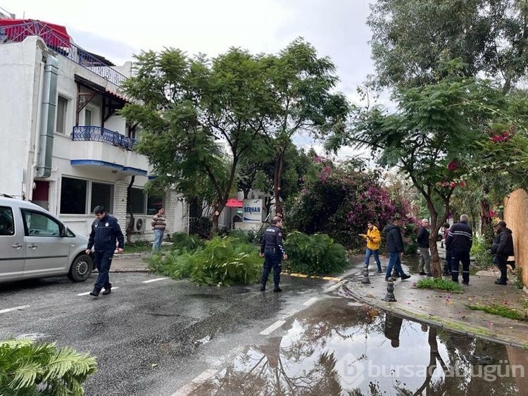 Bodrum'da sağanak; dere taştı, mahsur kalan 4 kişi kurtarıldı
