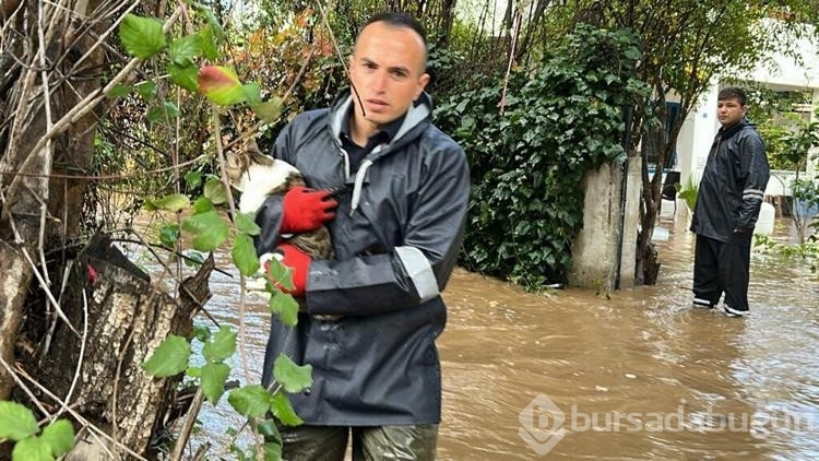 Bodrum'da sağanak; dere taştı, mahsur kalan 4 kişi kurtarıldı
