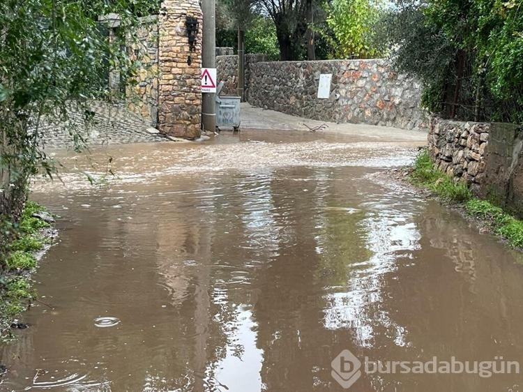 Bodrum'da sağanak; dere taştı, mahsur kalan 4 kişi kurtarıldı
