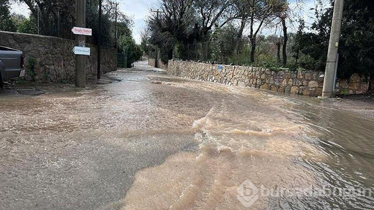 Bodrum'da sağanak; dere taştı, mahsur kalan 4 kişi kurtarıldı
