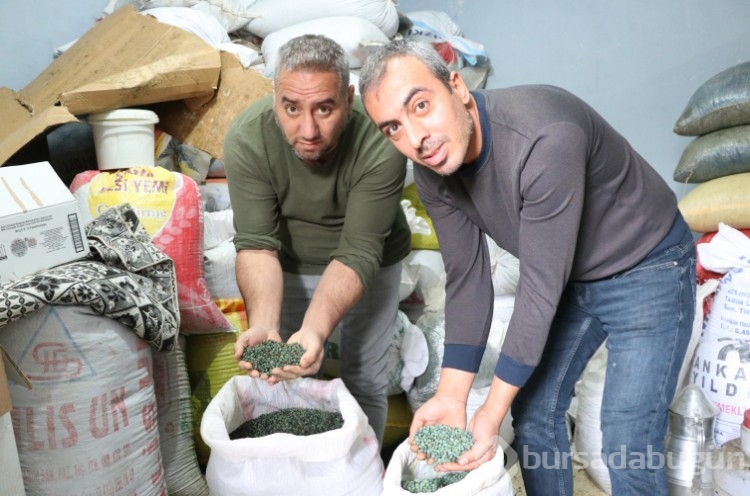 Yılda 30 ton bıttım sabunu yapıyorlar