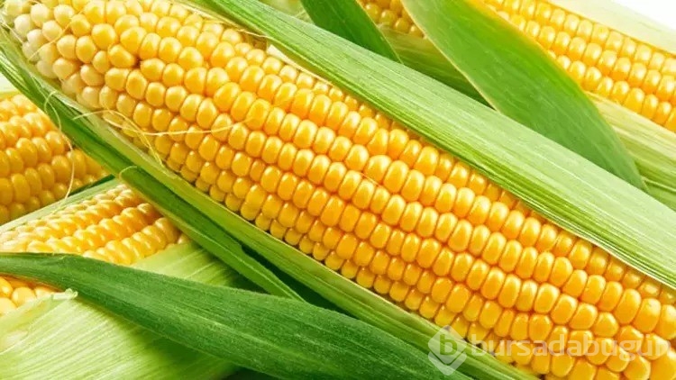 Bağırsakları deli gibi çalıştırıyor!