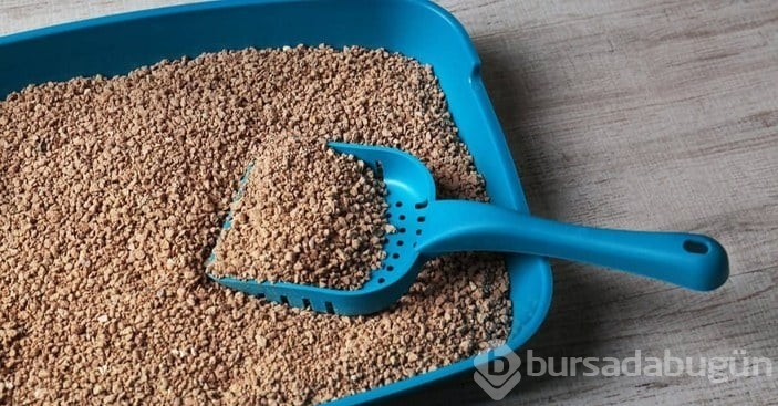 Rutubet gibi problemlerden bıktıysanız işte çözümü...