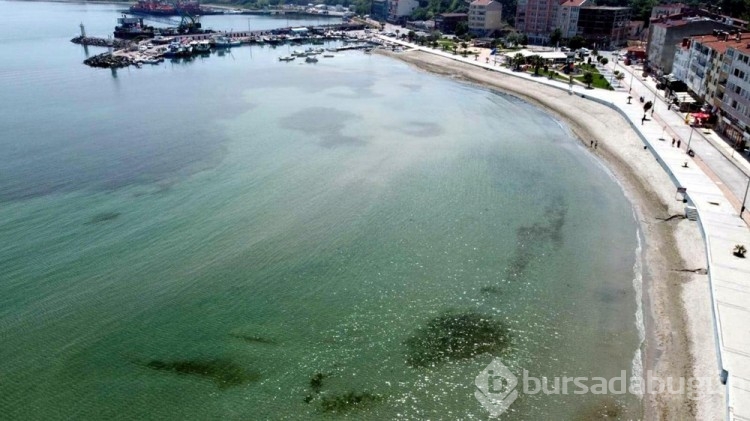 Marmara Denizi'nde tehlikeli ısınma
