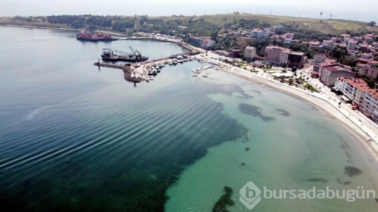 Marmara Denizi'nde tehlikeli ısınma
