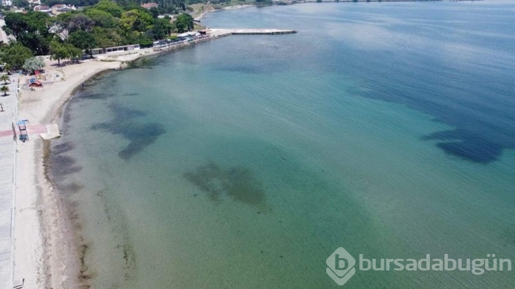 Marmara Denizi'nde tehlikeli ısınma
