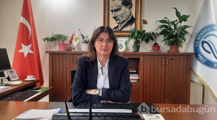 Haliç'te denizanası istilası
