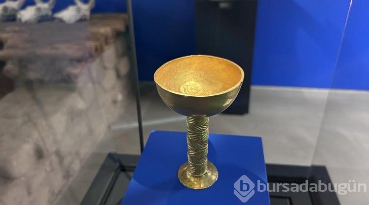 Cumhuriyet'in ilk bilimsel kazısı: Alaca Höyük
