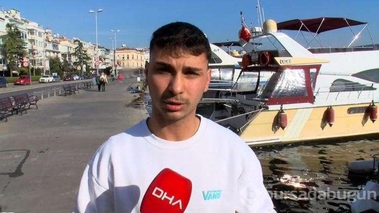 Boğaz'da denizanası yoğunluğu
