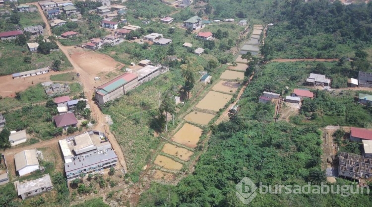 Kamerun'daki yetimhaneye havuz rehabilite ve ekipman desteği
