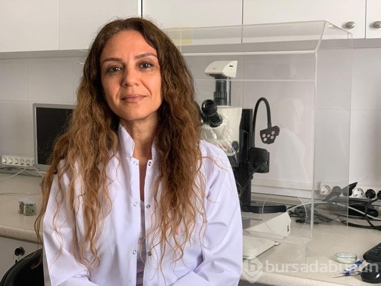 Türk bilim insanlarının 8'inci Antarktika bilim yolculuğu başlıyor
