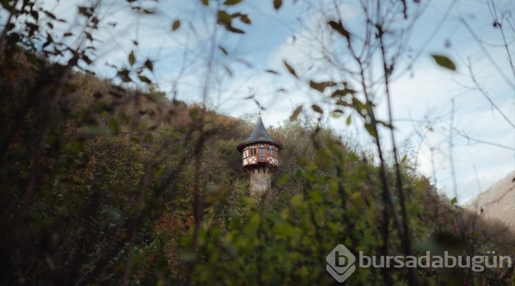 "Rapunzel"den ilham aldı, kule inşa etti
