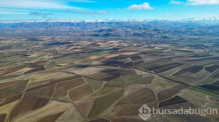 Aydıntepe Ovası'ndaki tarlalar güzel görüntü sunuyor
