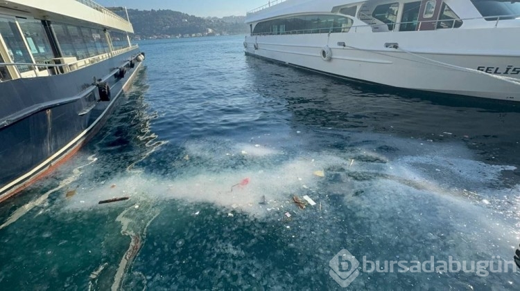 Marmara Denizi'ndeki sessiz çığlık: "Bu buzdağının görünen kısmı, asıl stok suyun altında"
