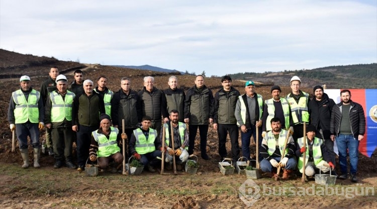 Bursa'da 4 ay önce yanan ormanlık alanlar ağaçlandırılıyor
