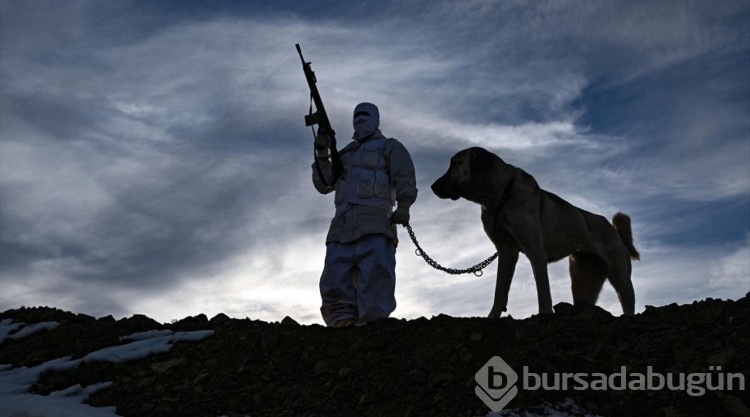 Van-İran sınırına örülen güvenlik duvarının 170 kilometresi tamamlandı