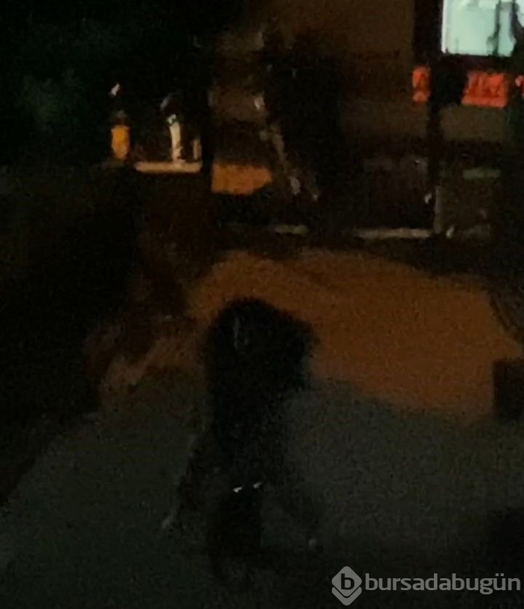 Beylikdüzü'nde pitbull 2 çocuğa saldırdı
