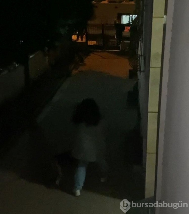 Beylikdüzü'nde pitbull 2 çocuğa saldırdı
