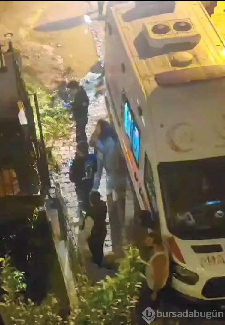 Beylikdüzü'nde pitbull 2 çocuğa saldırdı
