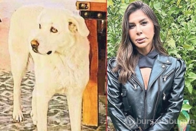 Bir anda üzerine atladı, dudağını kopardı: Stilist kadın kabusu yaşadı