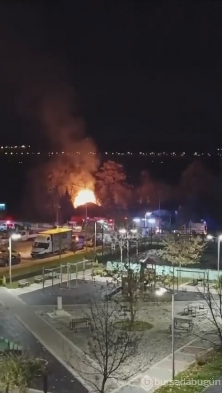 Bursa'da çiftlikte çıkan yangın korku dolu anlar yaşattı!