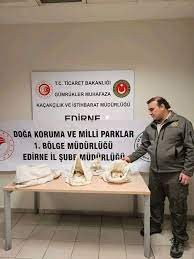 Türkiye'ye 33 tehlikeli piton soktu: Cezası 26 bin lira