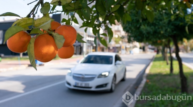 Antalya turuncuya büründü