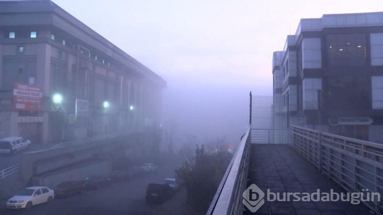 İstanbul'da sis etkili oldu
