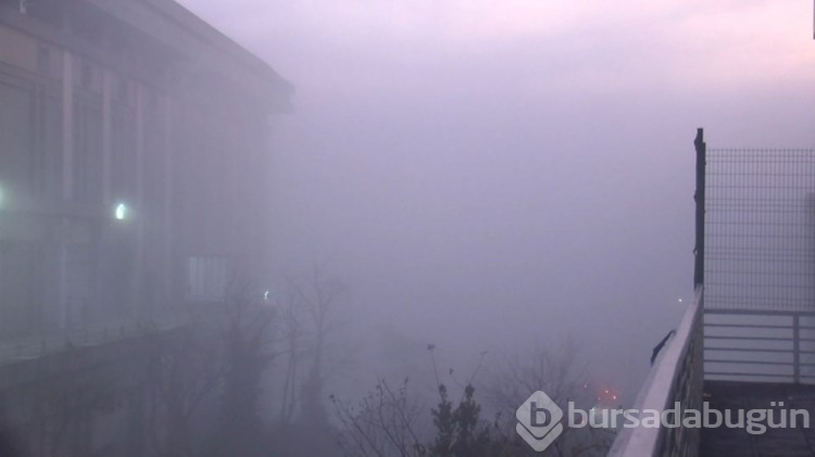 İstanbul'da sis etkili oldu
