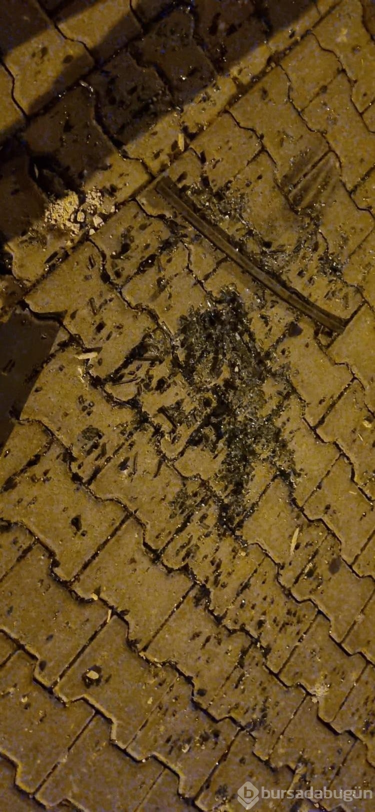 Diyarbakır'da akraba iki aile arasında kavga