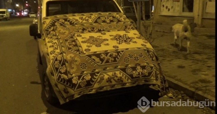Kars'ta araçlara halılı, battaniyeli soğuk önlemi