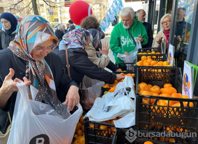 Bursa'da Nilüfer'e bir Bostan daha kazandırıldı