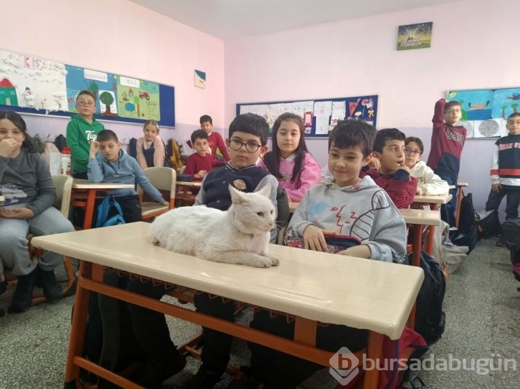 ''Çakıl'' okulun maskotu oldu
