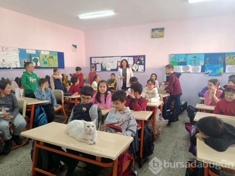 ''Çakıl'' okulun maskotu oldu
