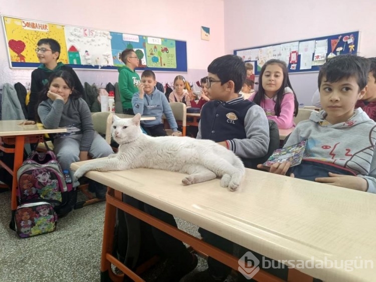 ''Çakıl'' okulun maskotu oldu
