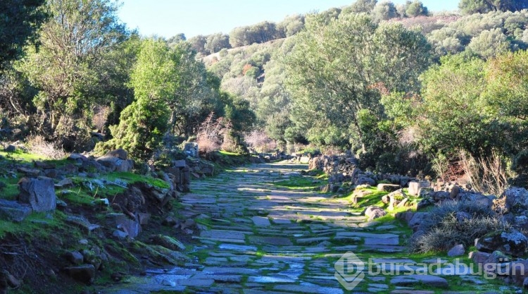 Manisa'da 1900 yıllık antik yol gün yüzüne çıktı
