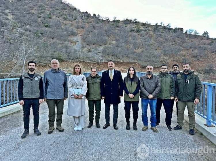 Tunceli'de ekipler gece gündüz dağlarda kaçak avcı peşinde