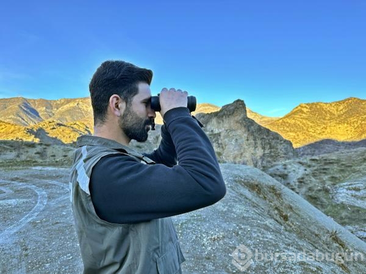 Tunceli'de ekipler gece gündüz dağlarda kaçak avcı peşinde