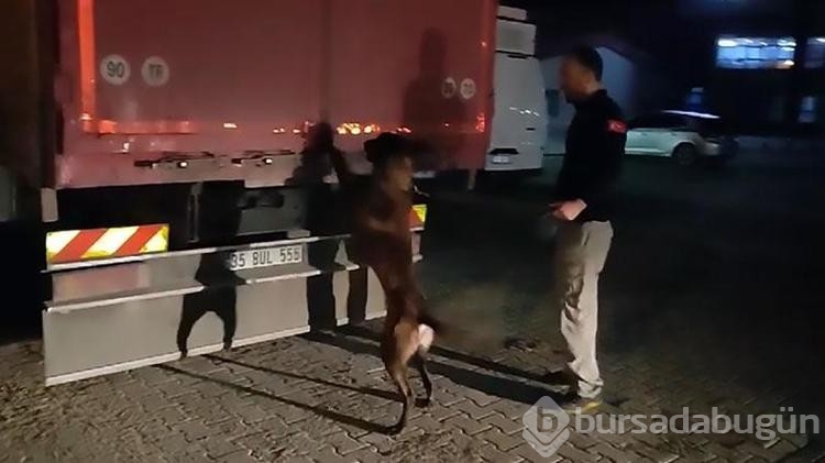 'Tiryaki' ile aramada 300 bin paket kaçak sigara ele geçirildi
